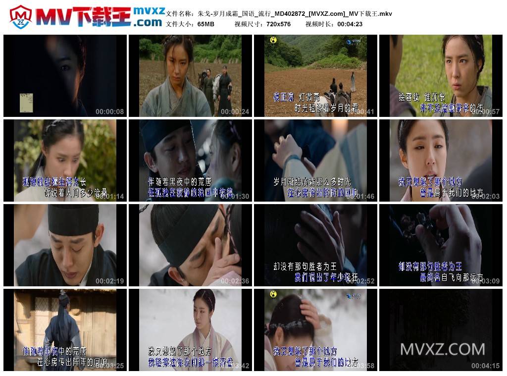 朱戈-岁月成霜_国语_流行_MD402872